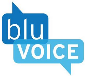 BLUVOICE logo