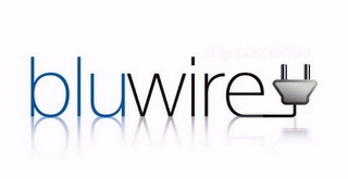 BLUWIRE logo