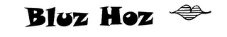 BLUZ HOZ logo