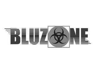 BLUZONE logo