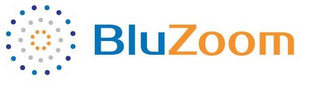BLUZOOM logo