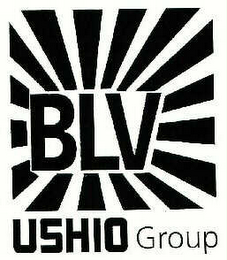 BLV USHIO GROUP logo