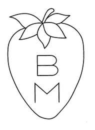 BM logo