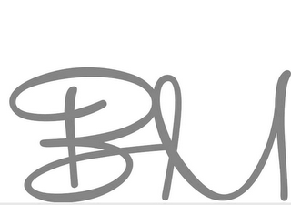 BM logo