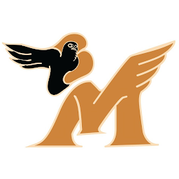 BM logo