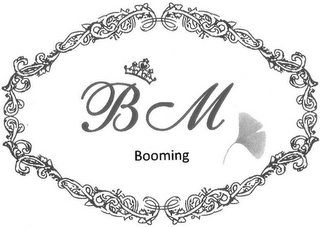 BM BOOMING logo