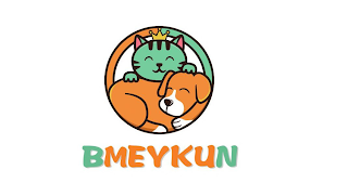 BMEYKUN logo