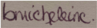 BMICHELEINC. logo