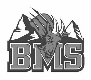 BMS logo