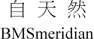 BMSMERIDIAN logo