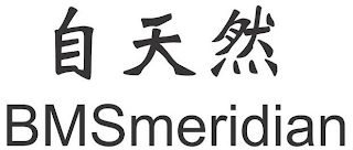 BMSMERIDIAN logo