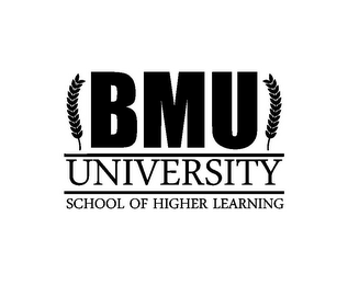 BMU UNIVERSITY SCHOOL OF HIGHER LEARNING logo