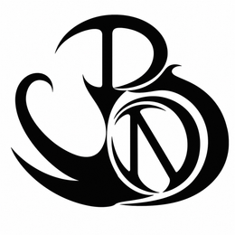 BN logo