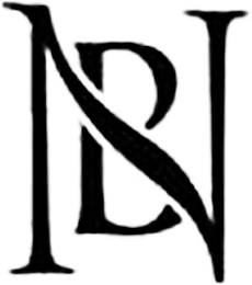 BN logo