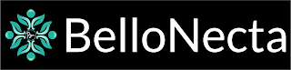 BN BELLONECTA logo