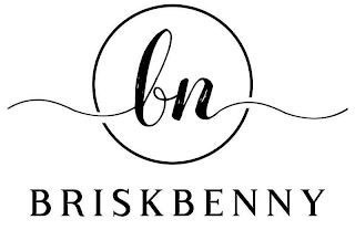 BN BRISKBENNY logo