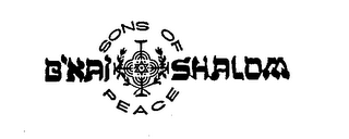 B'NAI SHALOM SONS OF PEACE logo