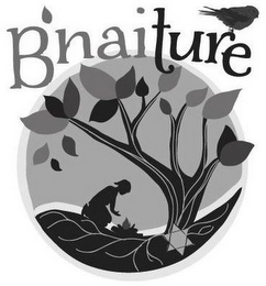 B'NAITURE logo
