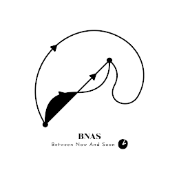 BNAS BETWEEN NOW AND SOON logo
