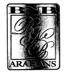 BNB ARABIANS logo