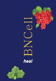 BNCELL HEAL logo