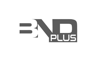 BNDPLUS logo