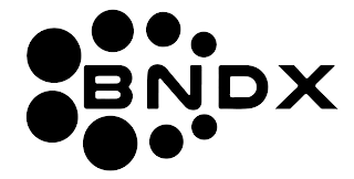 BNDX logo