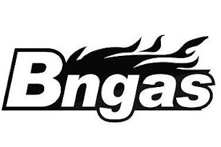BNGAS logo