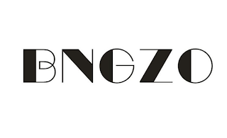 BNGZO logo