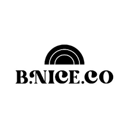 B.NICE.CO logo
