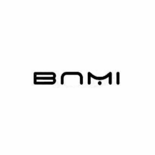 BNMI logo