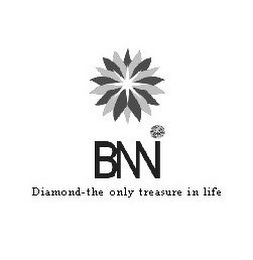 BNN DIAMOND-THE ONLY TREASURE IN LIFE logo