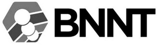 BNNT logo