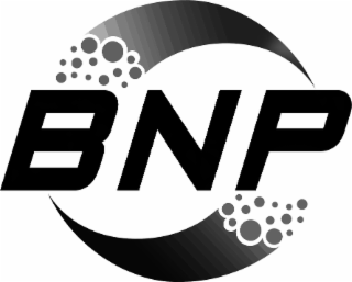 BNP logo