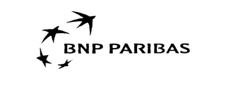 BNP PARIBAS logo