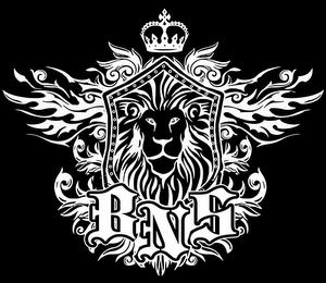 BNS logo