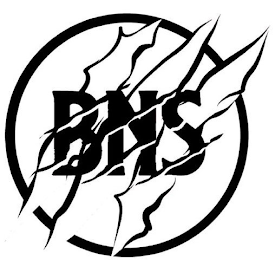 BNS logo