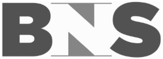 BNS logo