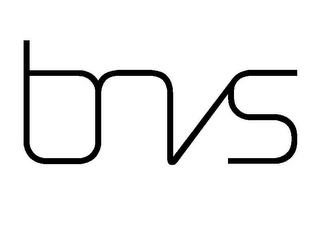 BNVS logo
