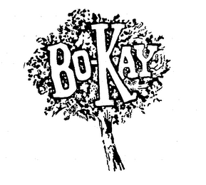 BO-KAY logo