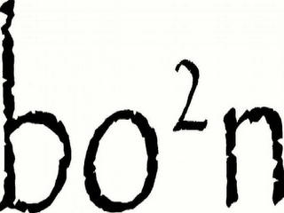 BO2N logo