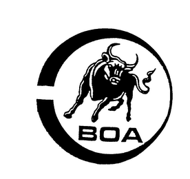 BOA logo