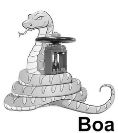 BOA logo