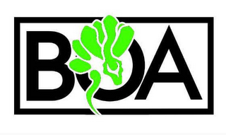 BOA logo