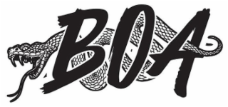 BOA logo