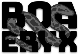 BOA ERYX logo