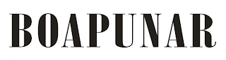 BOAPUNAR logo