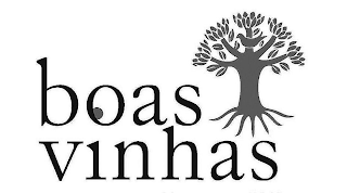 BOAS VINHAS