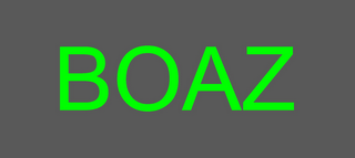 BOAZ logo