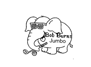 BOB BURNS JUMBO logo